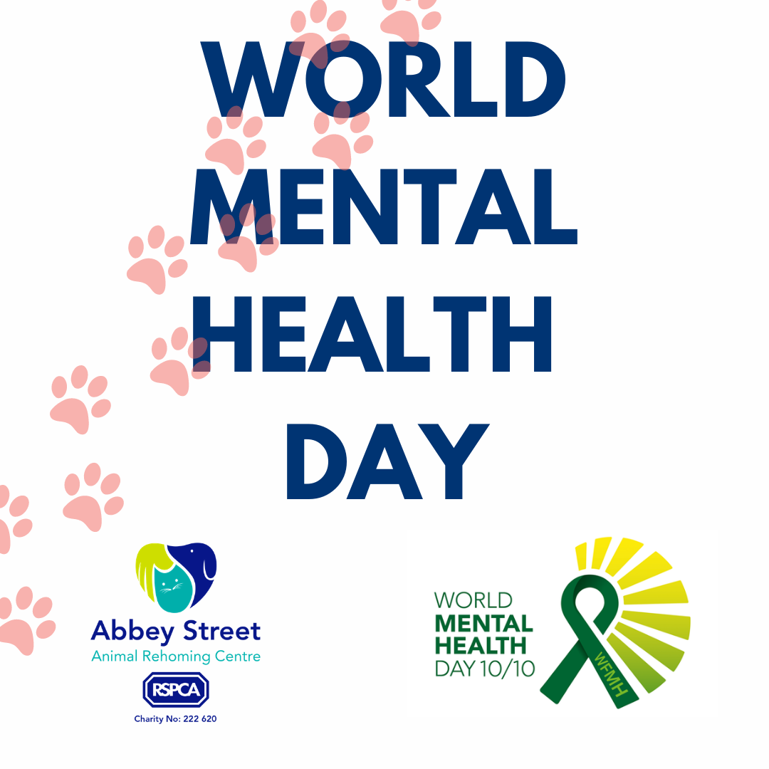 WMHD