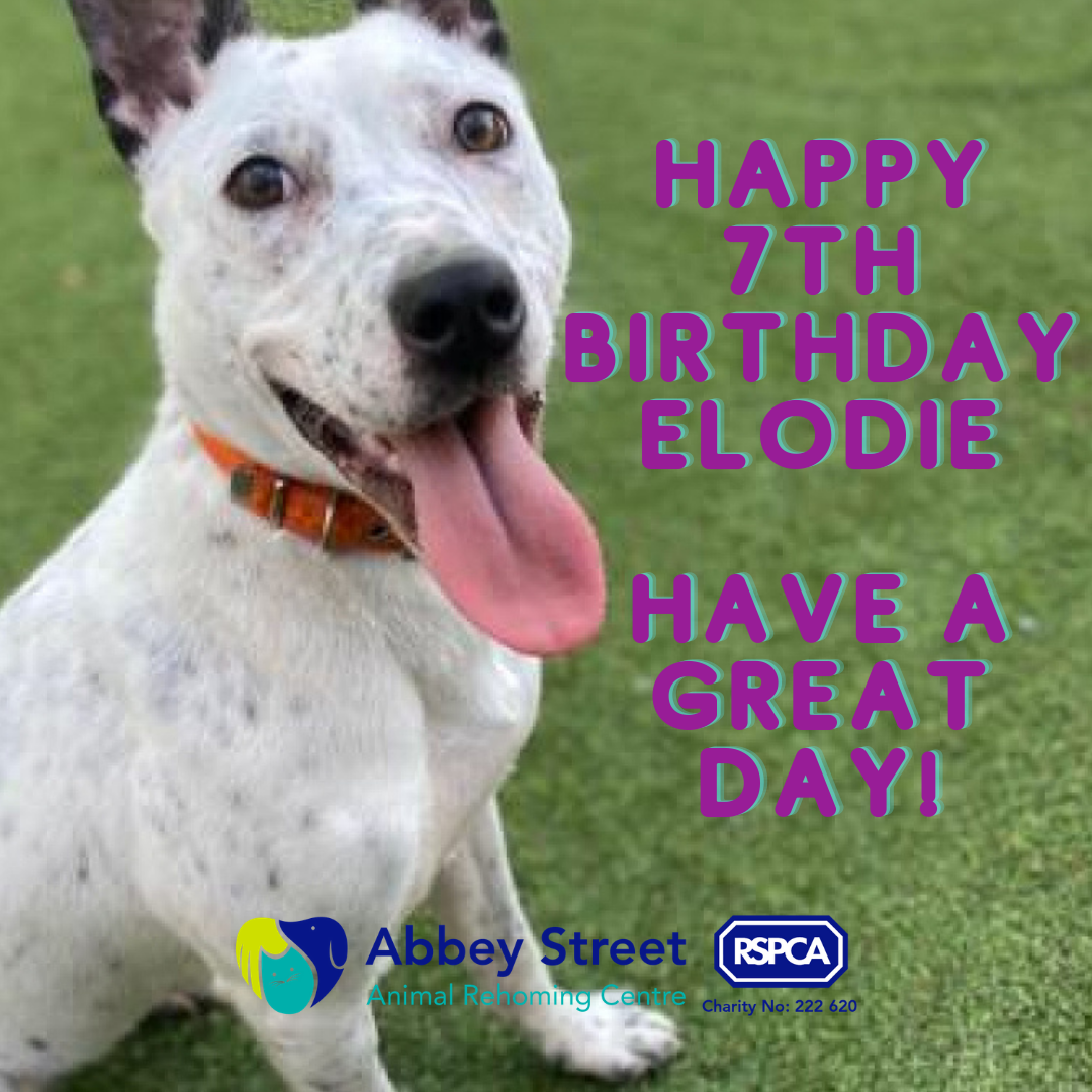 HBD
