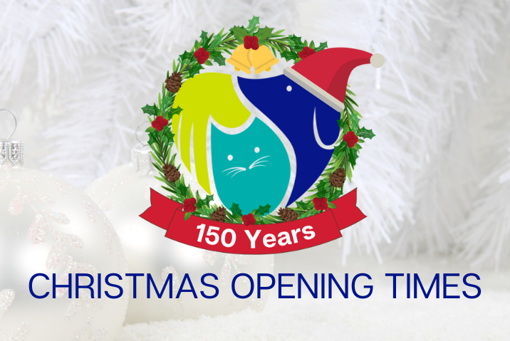 Opening times