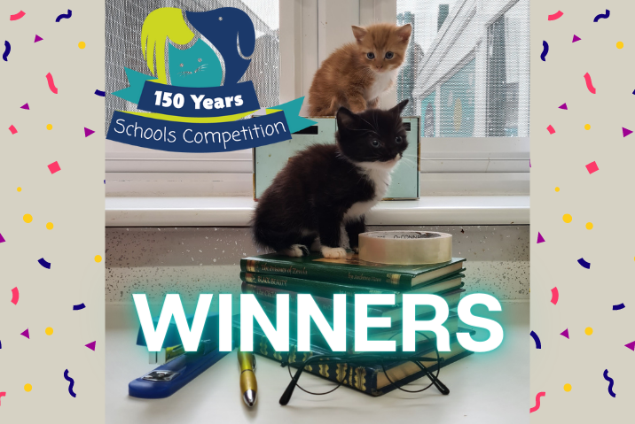 winners