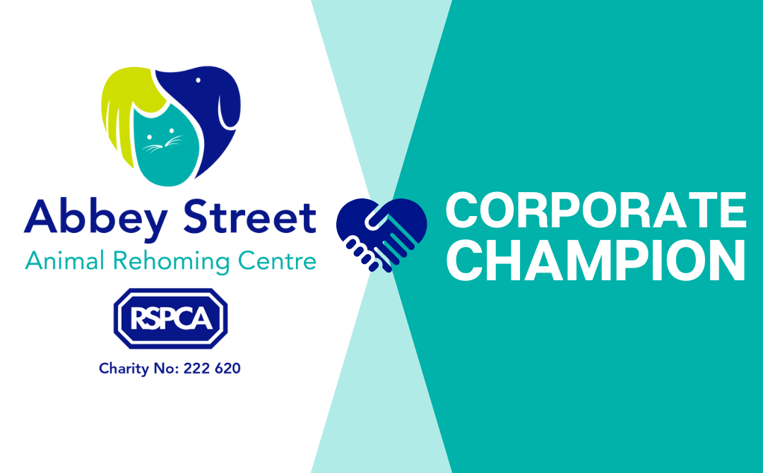 Corporate champion