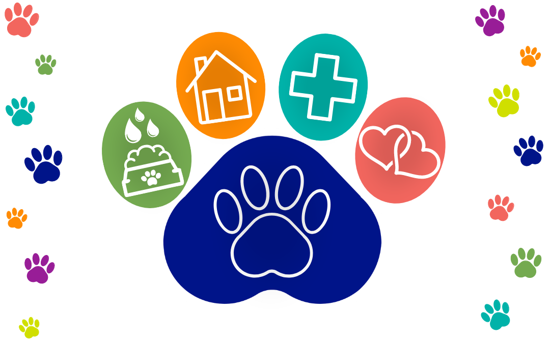 Paws for Pets