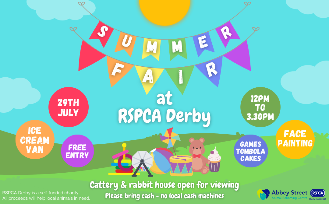Summer fair