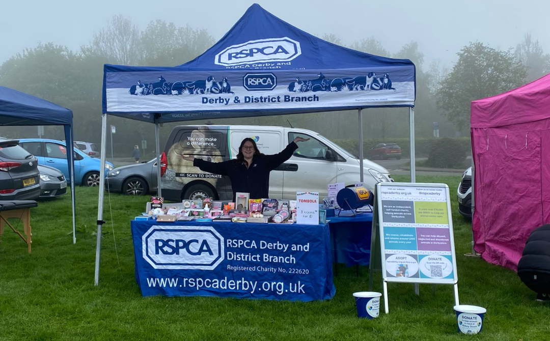 Fundraising volunteers