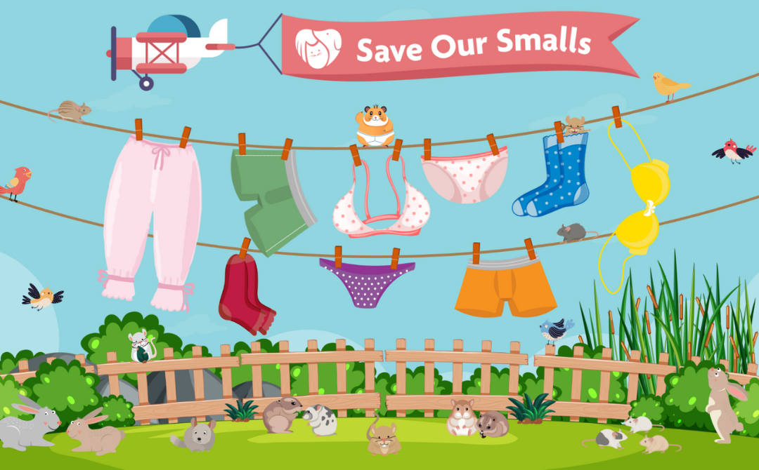 Save our smalls
