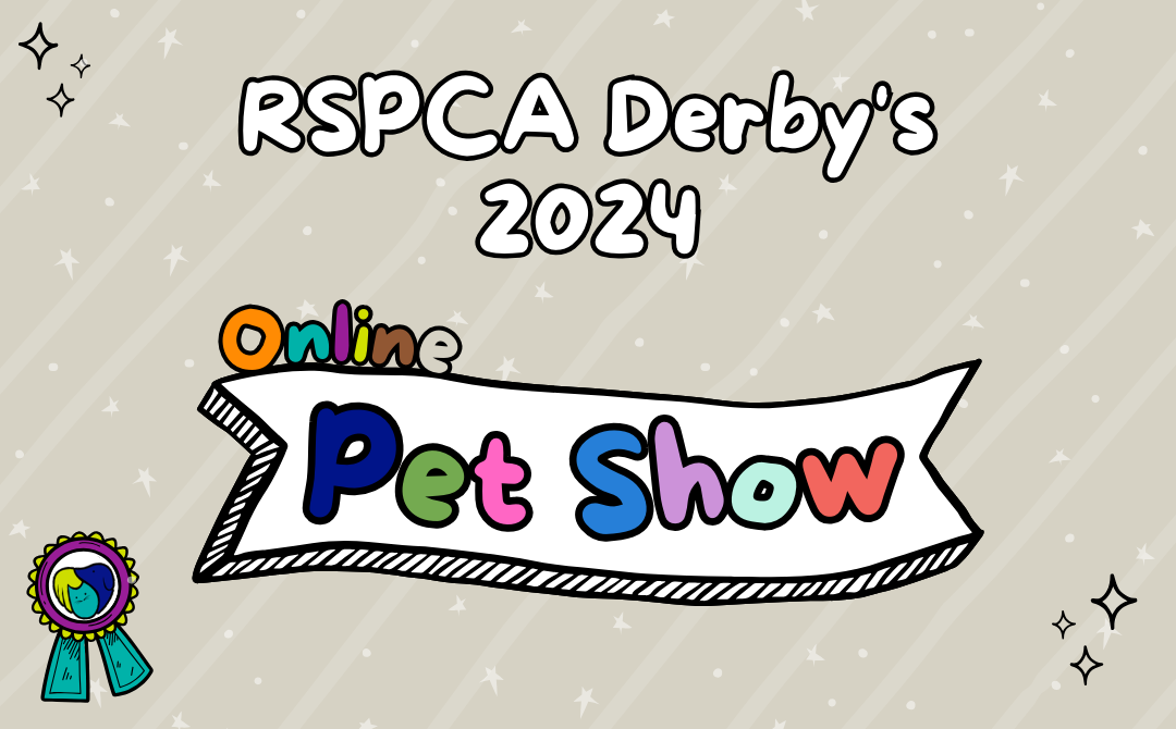 Online Pet Show 2024