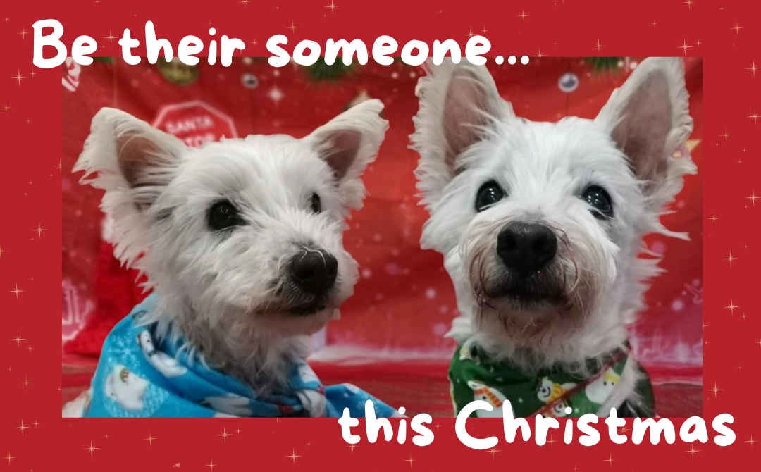 Be their someone