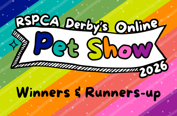 Online Pet Show banner on a colourful background