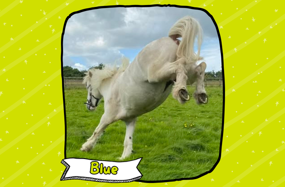 Blue