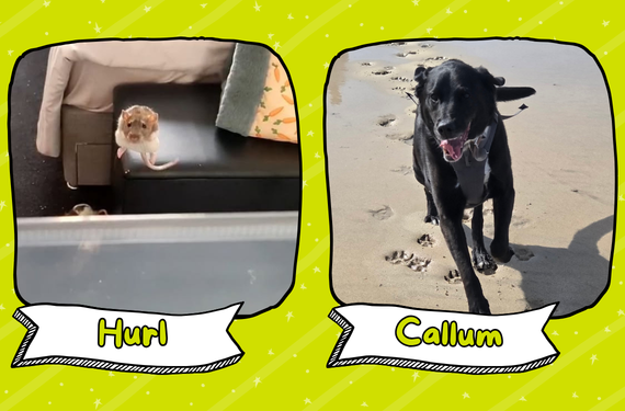Hurl & Callum