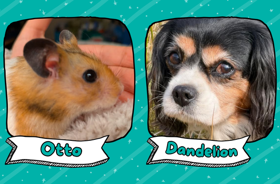 Otto and Dandelion