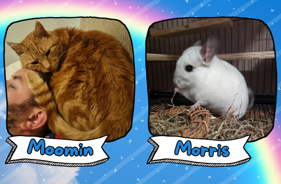 Moomin & Morris
