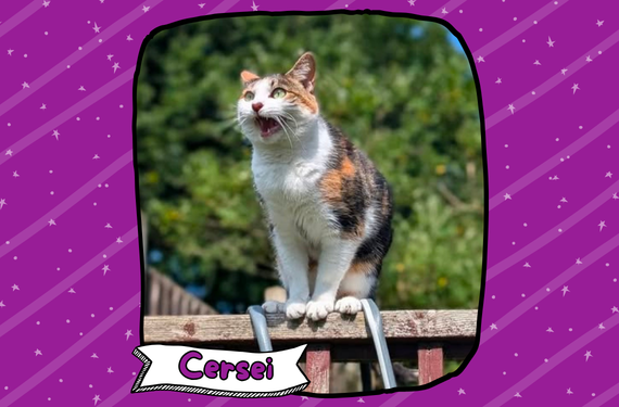 Cersei