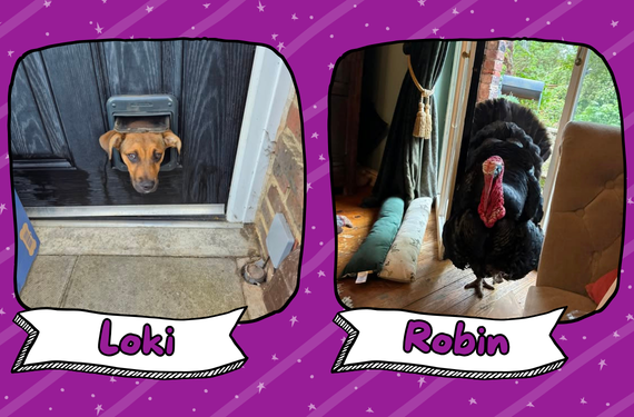 Loki & Robin