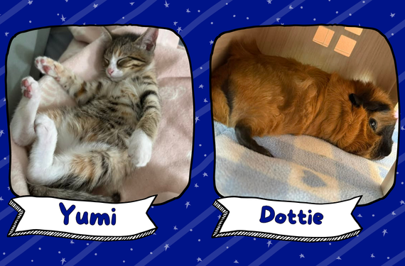 Yumi & Dottie