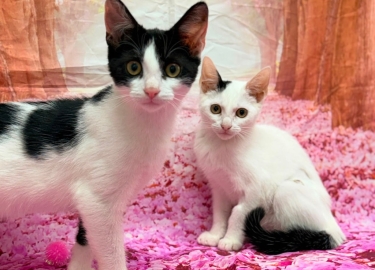 Avery & Helga