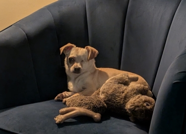 Penelope