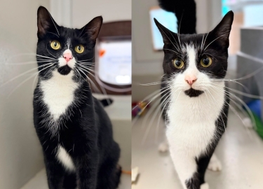 Kiko & Kola