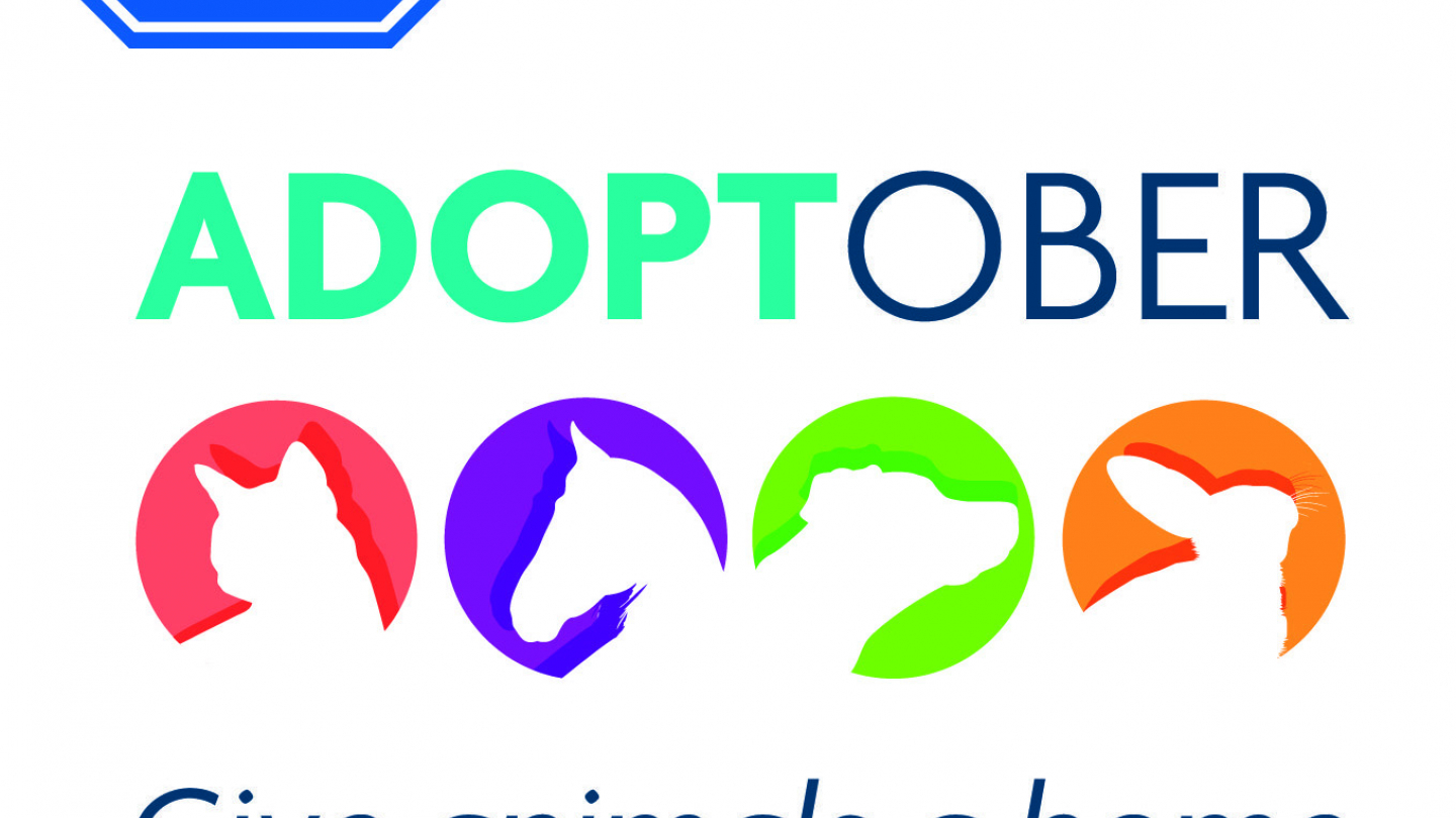 Adoptober
