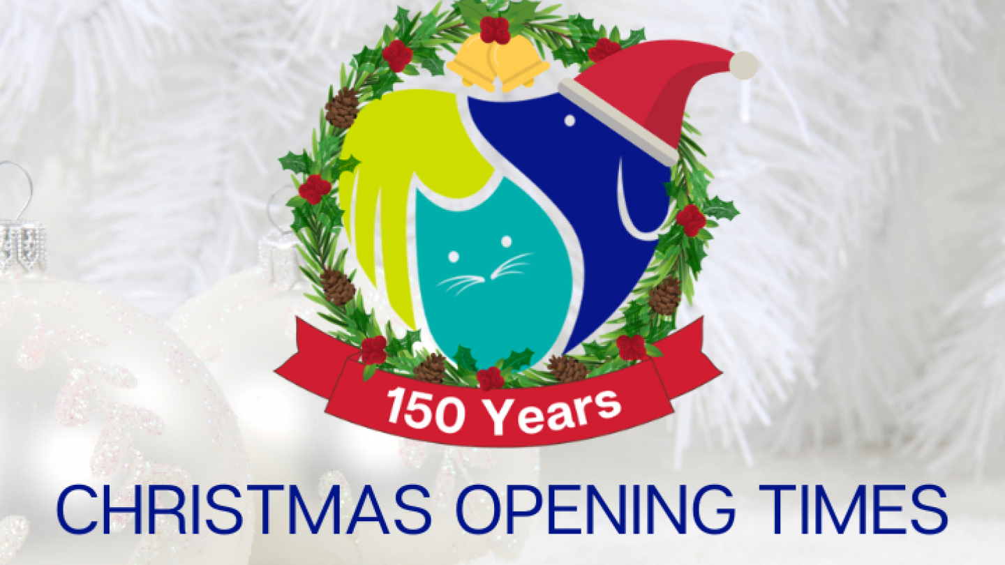 Opening times