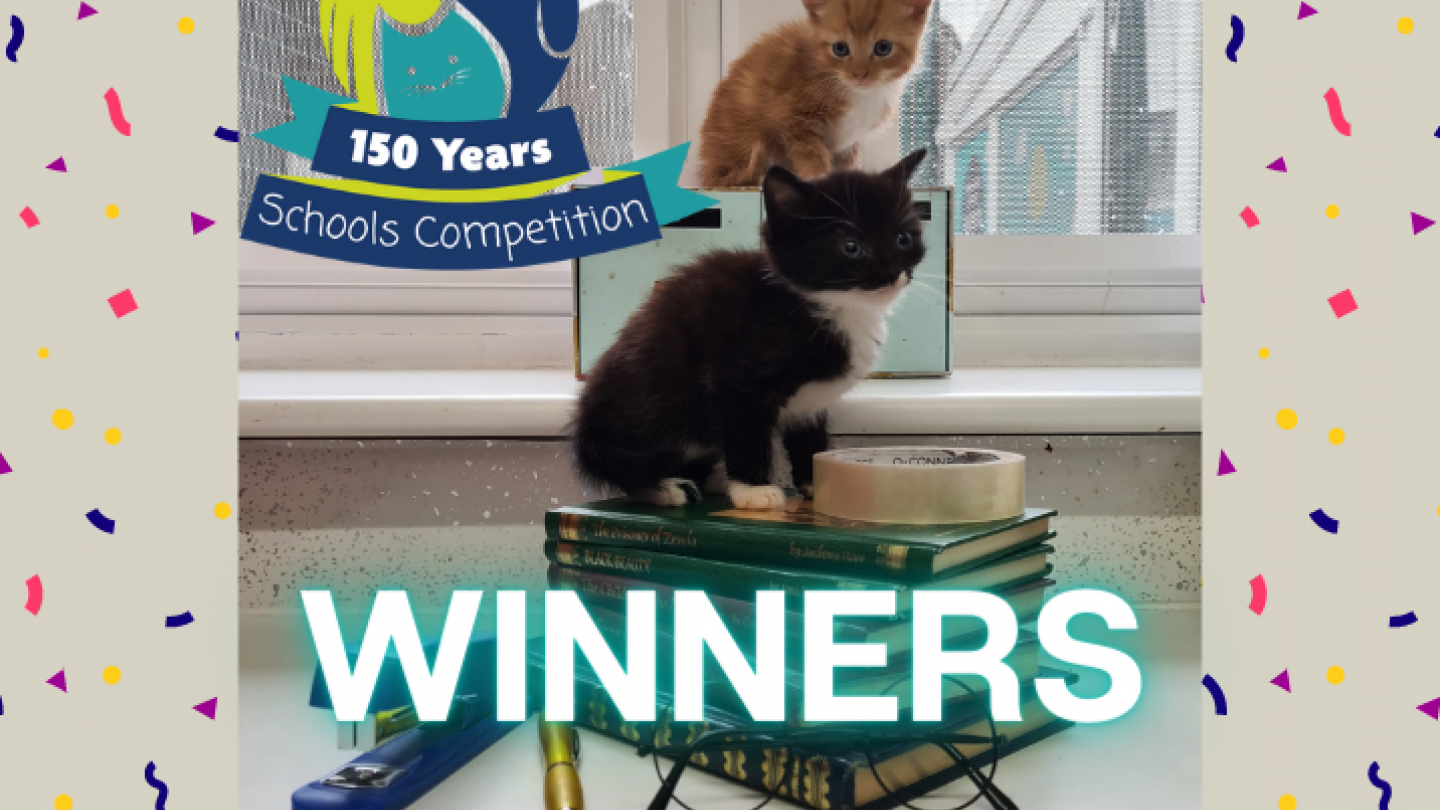 winners