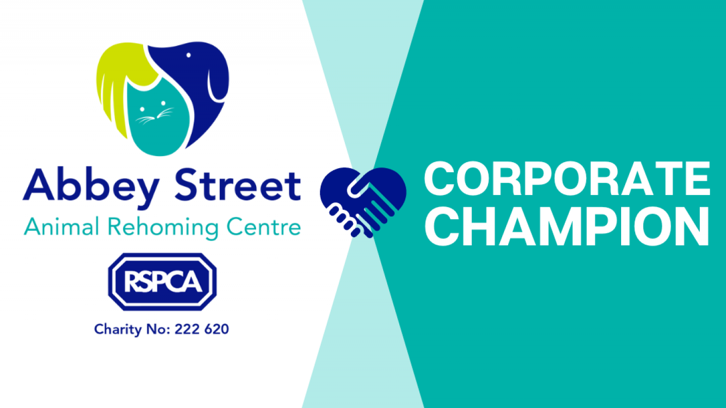 Corporate champion