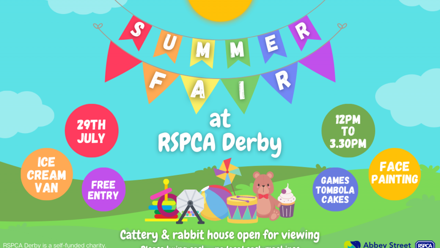 Summer fair