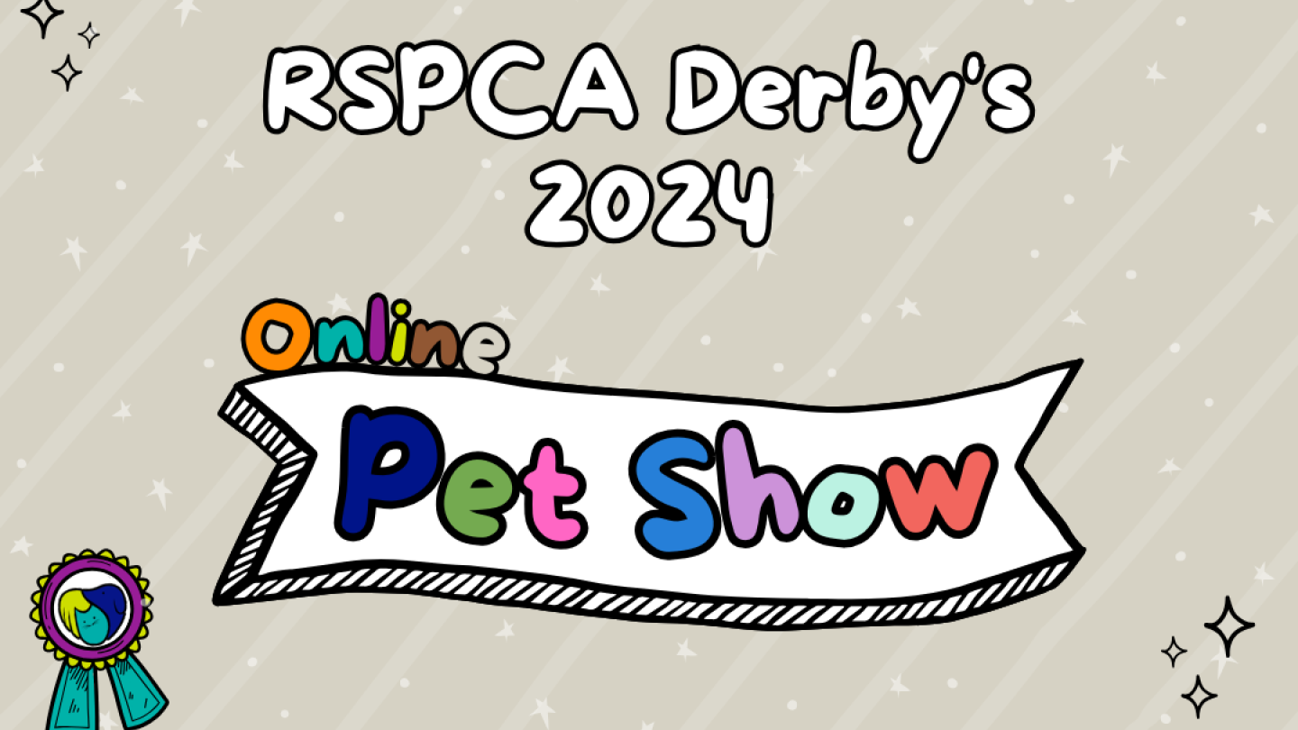 Online Pet Show 2024