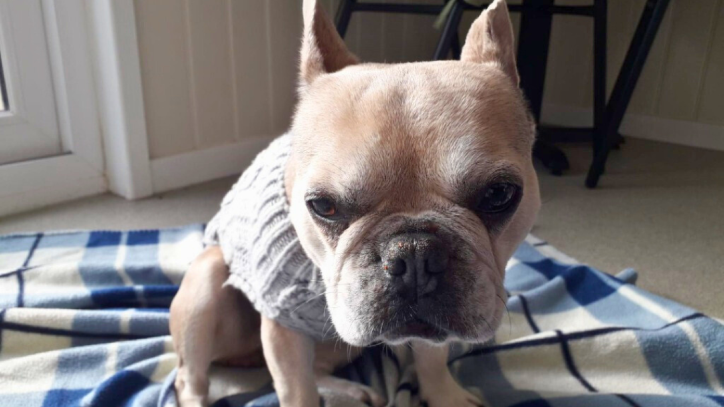 Bonnie