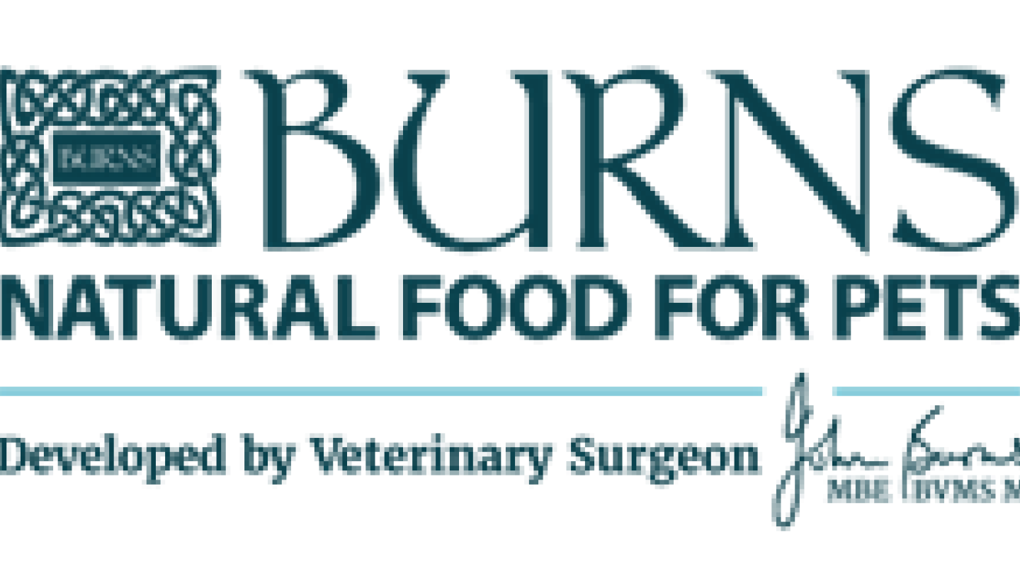 Burns logo