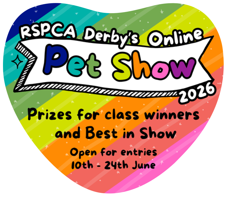 A colourful image with the Online Pet Show logo and the text Prizes for class winners  and Best in Show, Open for entries 10th - 24th June