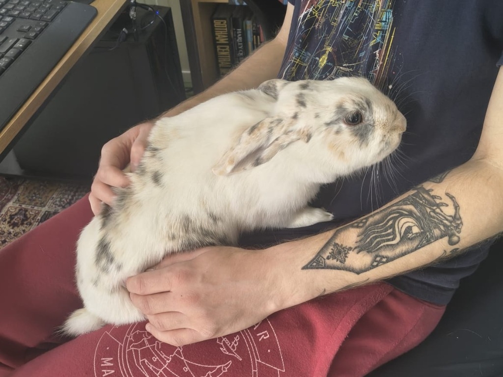 Bonnie — photo 2